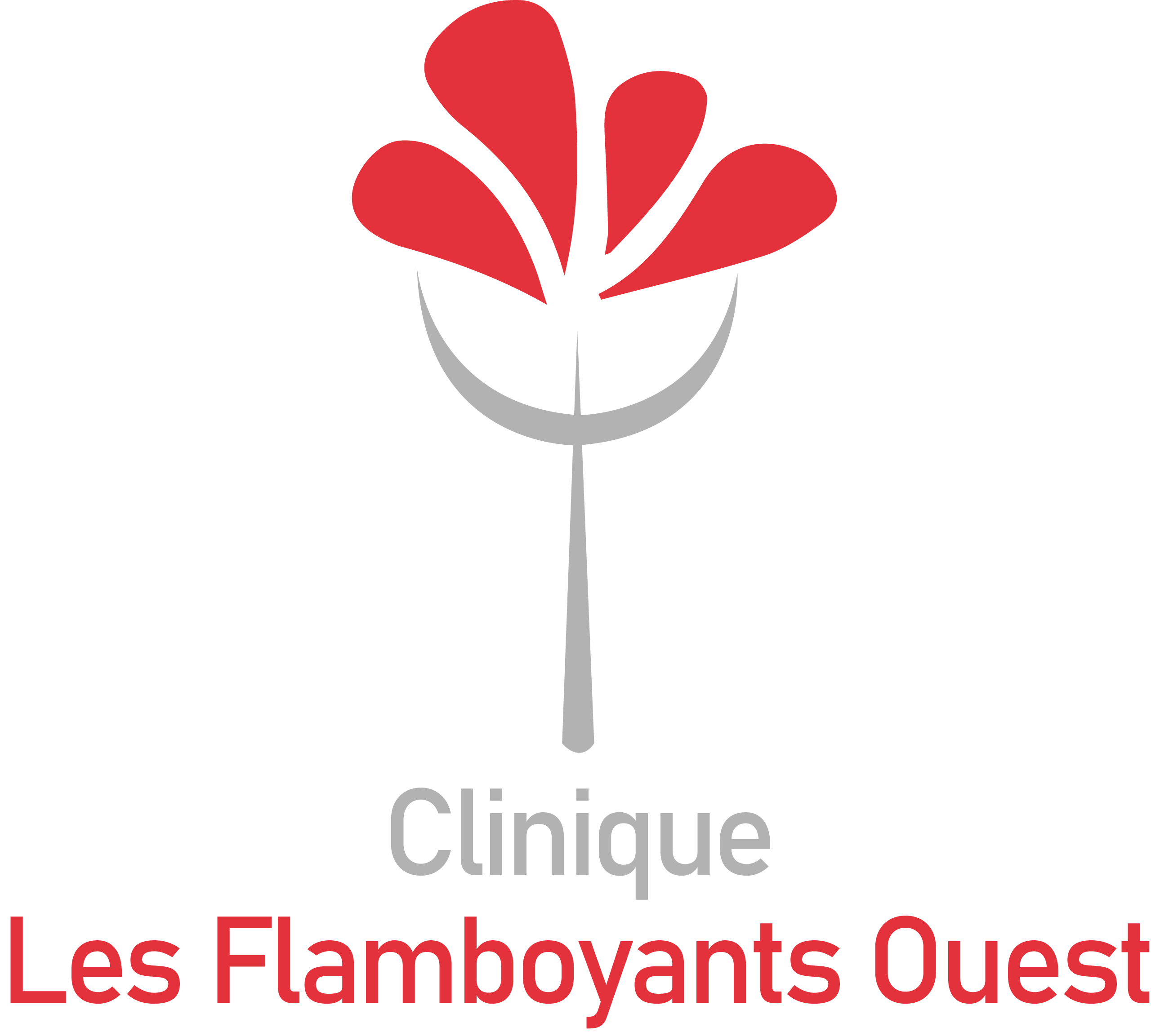 Clinique Les Flamboyants Ouest - Soins psychothérapiques