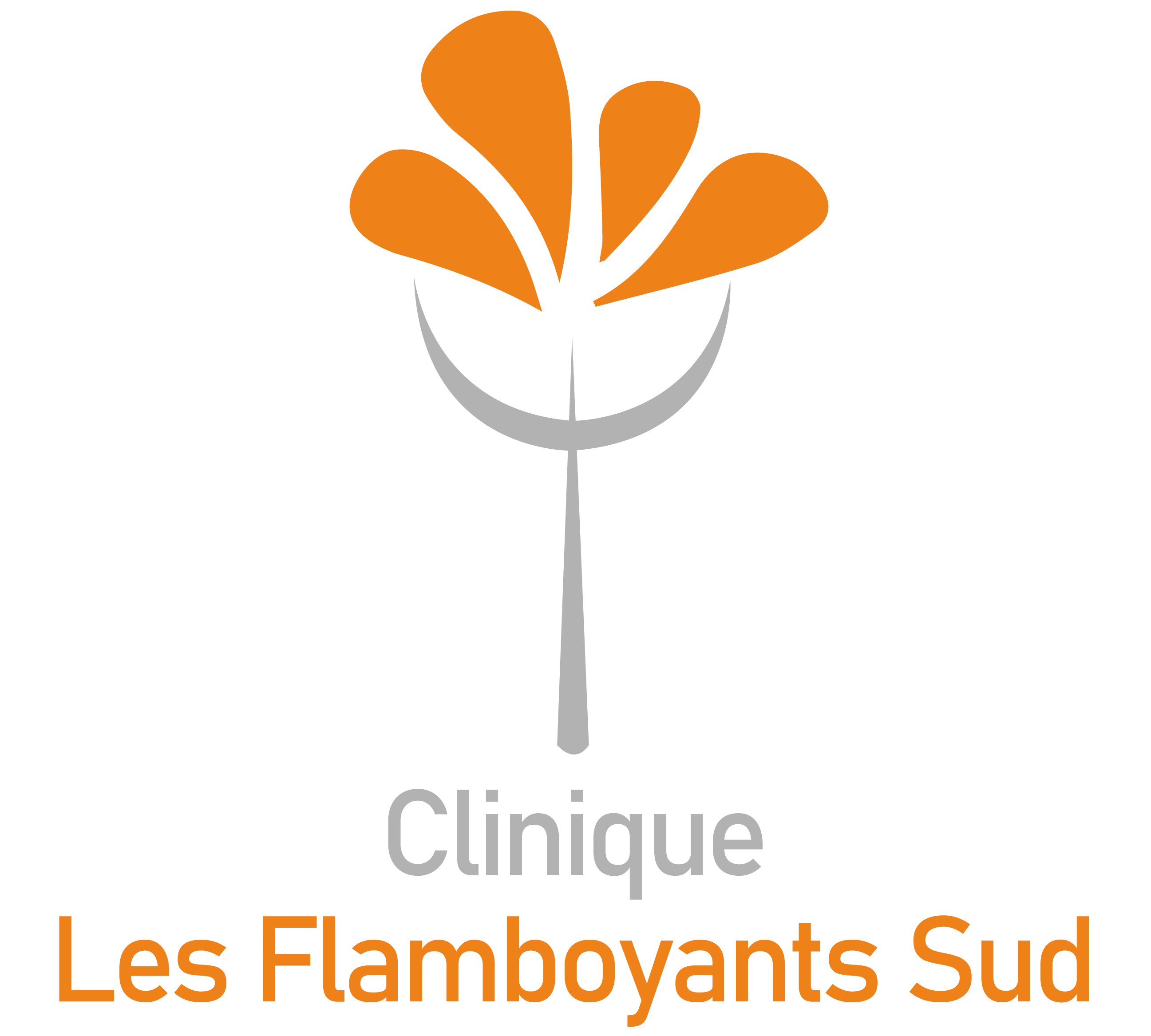 Clinique Les Flamboyants Sud
